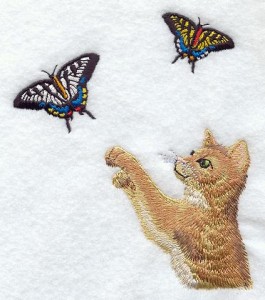 kitten