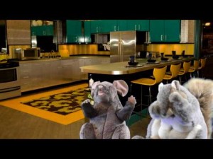 Oh little Hamsters- don't cry yet