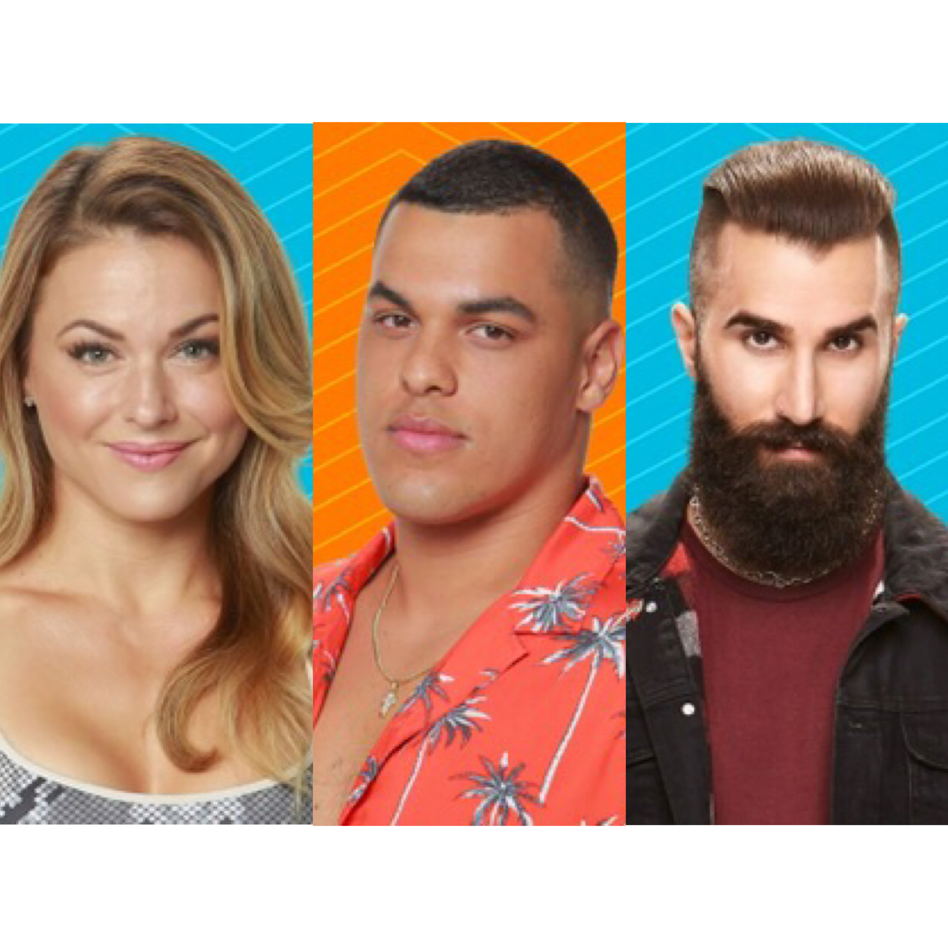 Big Brother 2017 Poll Who Will Win Big Brother 19 (POLL)