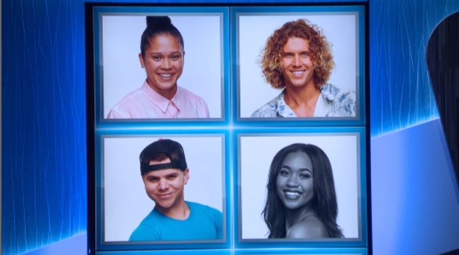 Big Brother 2018 Spoilers: Who Won Big Brother 20?